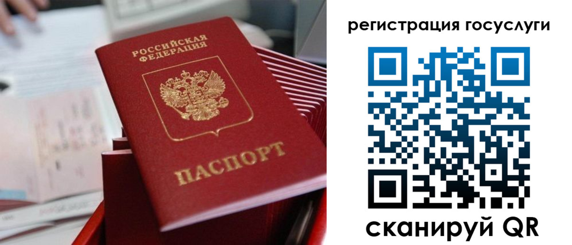 прописка регистрация в Всеволожске